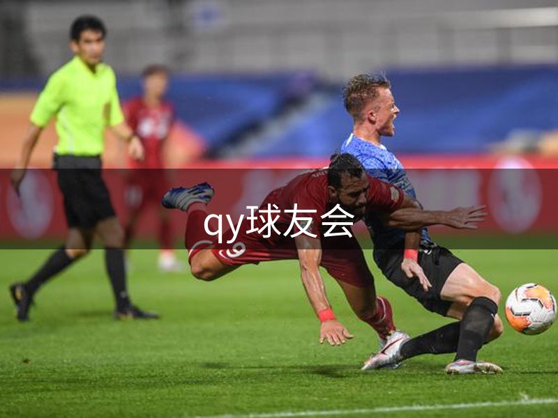 走进qy球友会